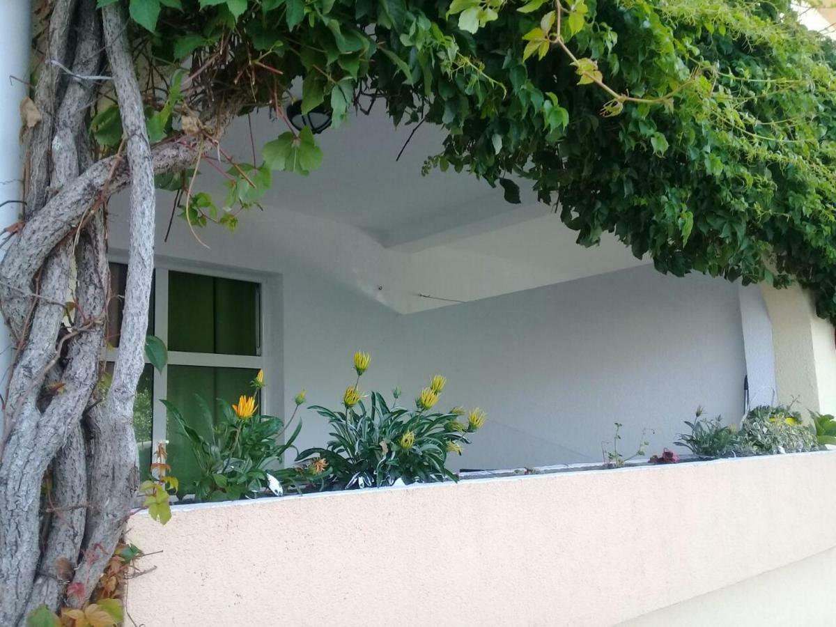 Montenegrina Apartment Budva Zewnętrze zdjęcie